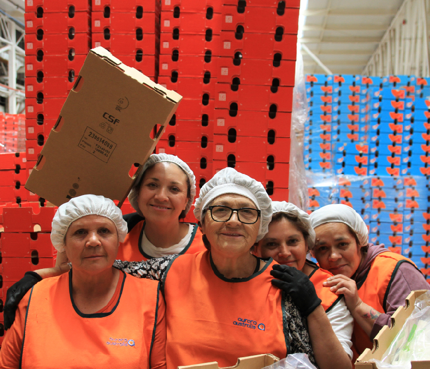 Agencia Prende Comunicaciones